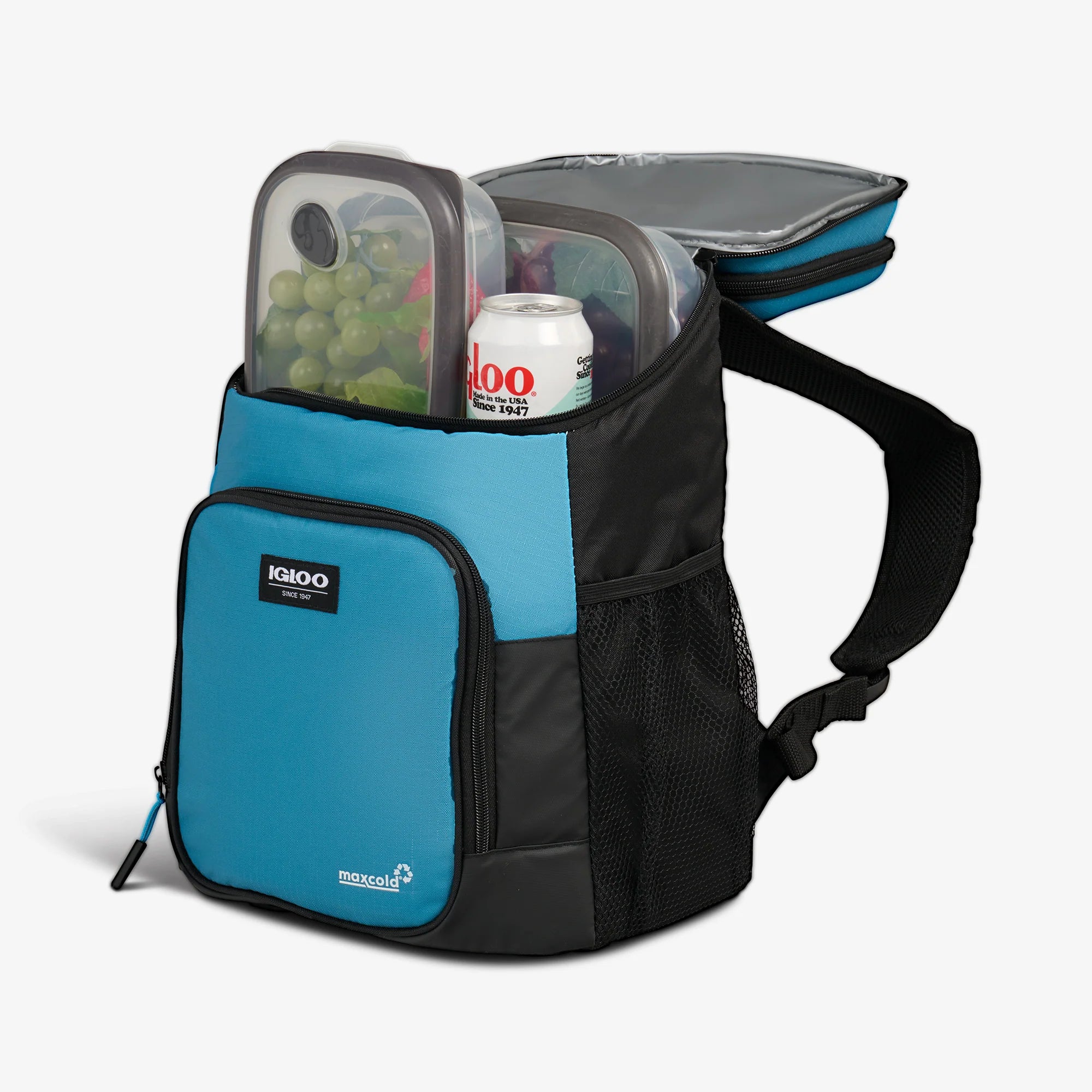 Igloo Coolers Latitude Hardtop 18-Can Backpack - Image 10